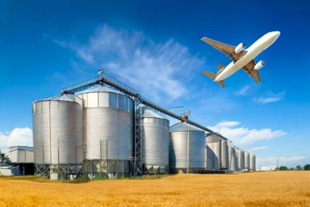 Leiva Viajes ofrece canje de granos por millas para viajar por el mundo.