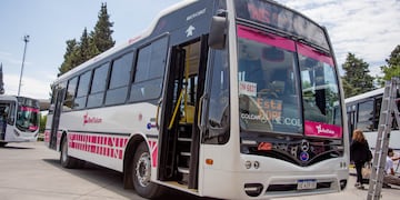 Los pasajeros y choferes pueden no usar barbijo, pero las ventanillas siguen estando abiertas.