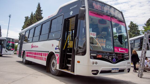 Los pasajeros y choferes pueden no usar barbijo, pero las ventanillas siguen estando abiertas.