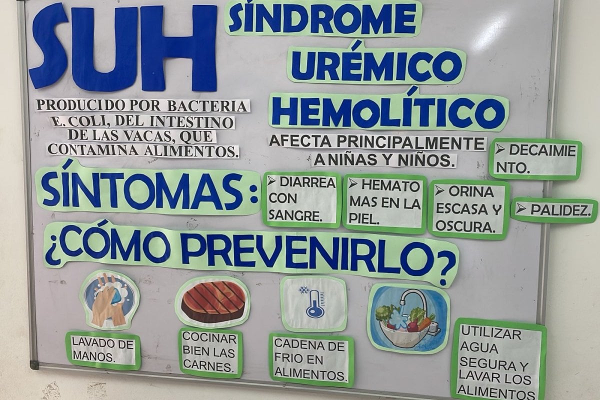 Síndrome Urémico Hemolítico