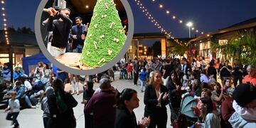 Un "Árbol de Navidad de Gualeguaychú" se convierte el árbol de chocolate más grande de Argentina