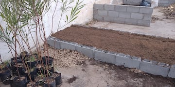 La Municipalidad de Tres Arroyos inicia proyecto de forestación con los colegios secundarios