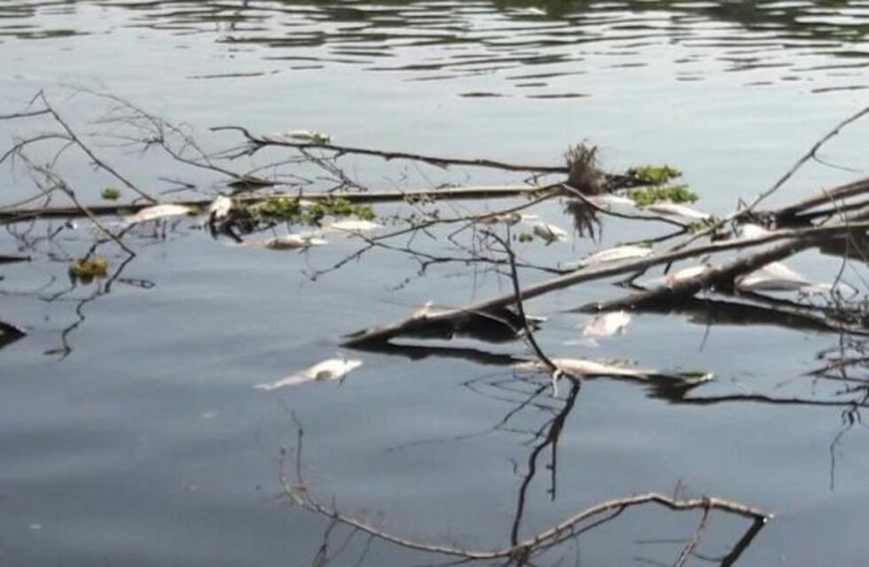 Contaminación cero: El Gobierno provincial multa a dos ingenios azucareros