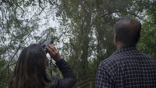 Exitoso primer encuentro internacional de observación de aves en Puerto Iguazú.