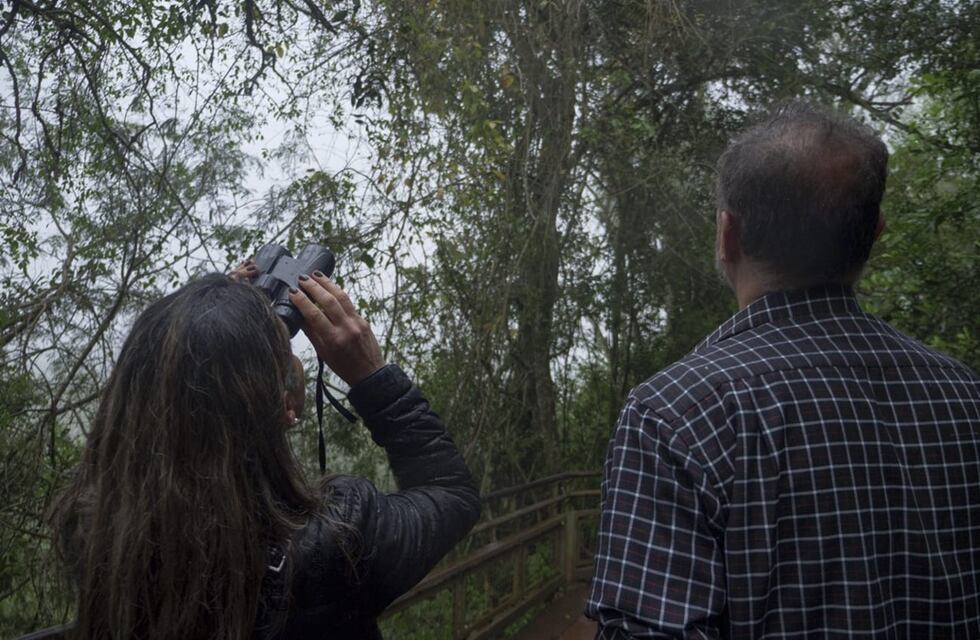 Exitoso primer encuentro internacional de observación de aves en Puerto Iguazú