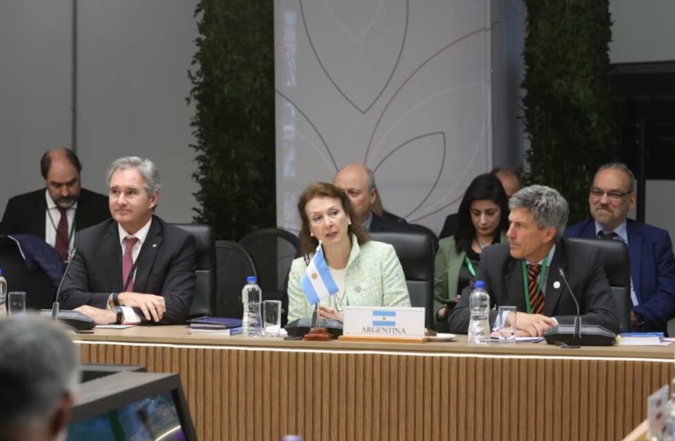 Mondino se cruzó con periodistas paraguayos: "Tienen que aprender a hacer un trabajo serio"