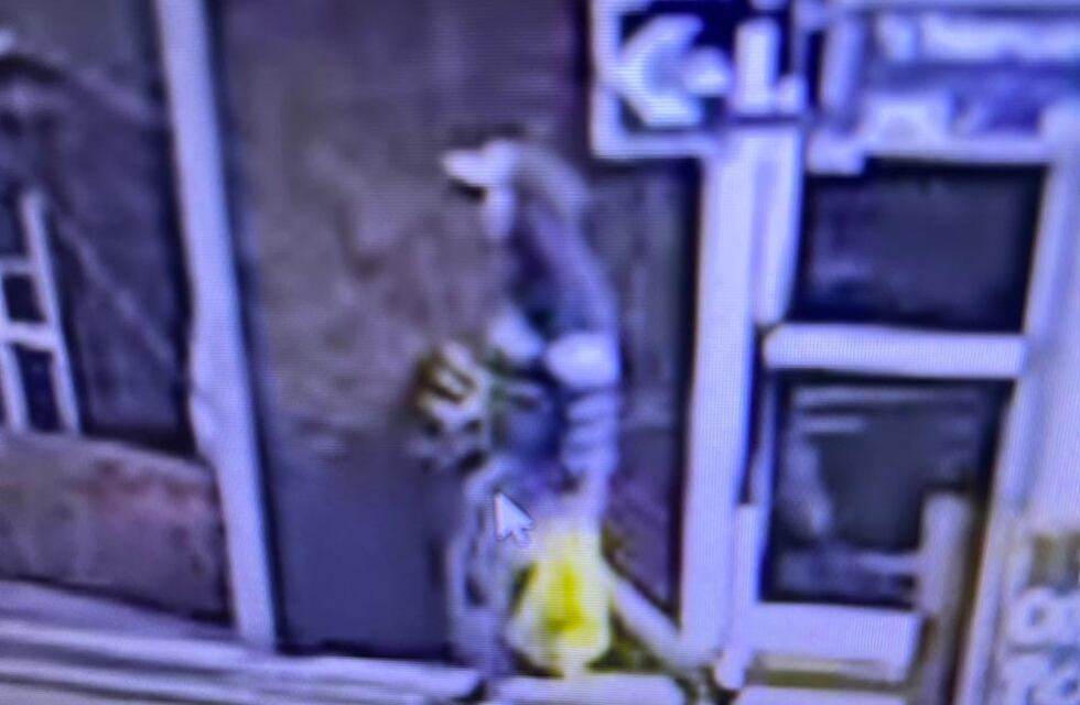 Detuvieron a un masculino por robar en un comercio por las cámaras de seguridad