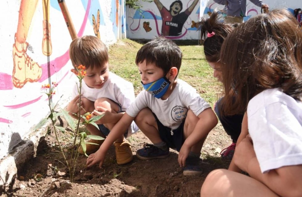 La Municipalidad quiere convertir baldíos en espacios de recreación