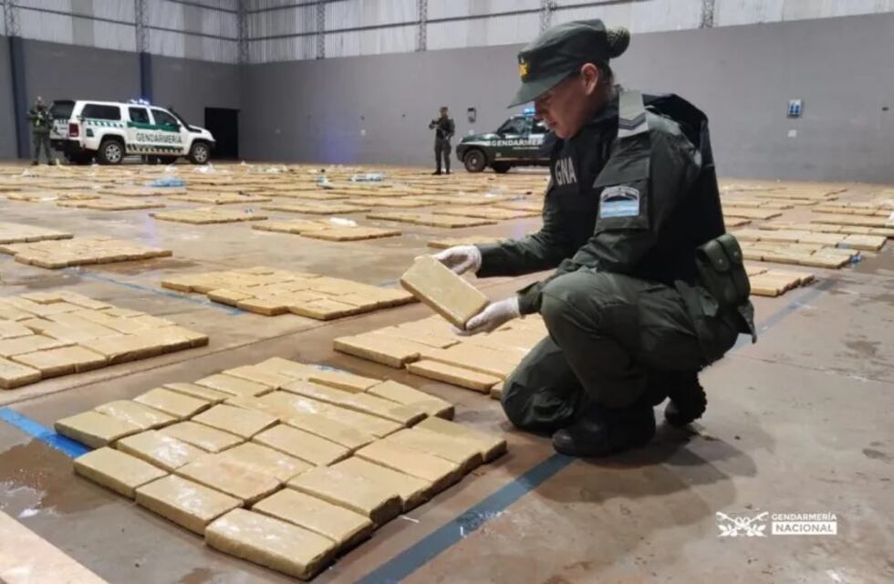 Incautan gran cantidad de marihuana en San Vicente