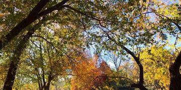 "El Fantasio" este otoño en Villa Carlos Paz.