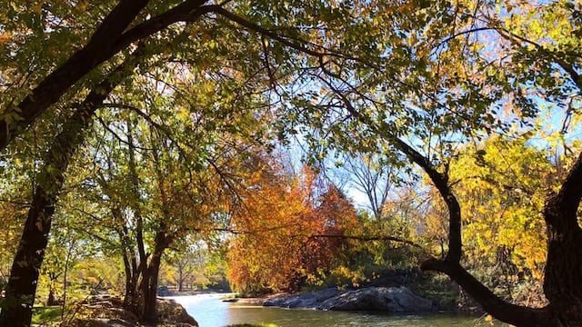 "El Fantasio" este otoño en Villa Carlos Paz.