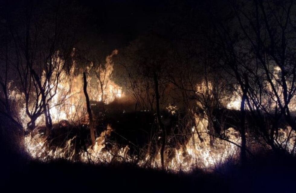 Incendios en San Luis: más de 40 mil hectáreas se quemaron este 2022