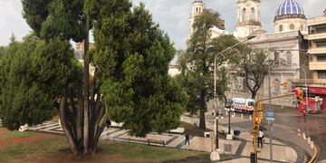 Caminatas guiadas por la ciudad de Paraná