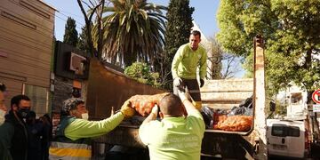 Pescados secuestrados en el Barrio Chino.