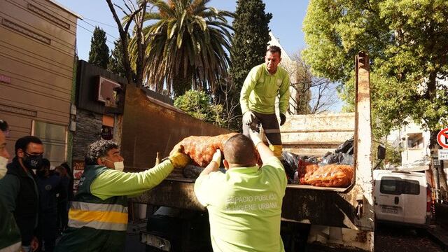 Pescados secuestrados en el Barrio Chino.