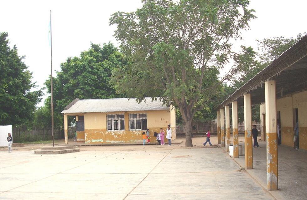 Encontraron una rana en la comida de los alumnos en un colegio de Salta