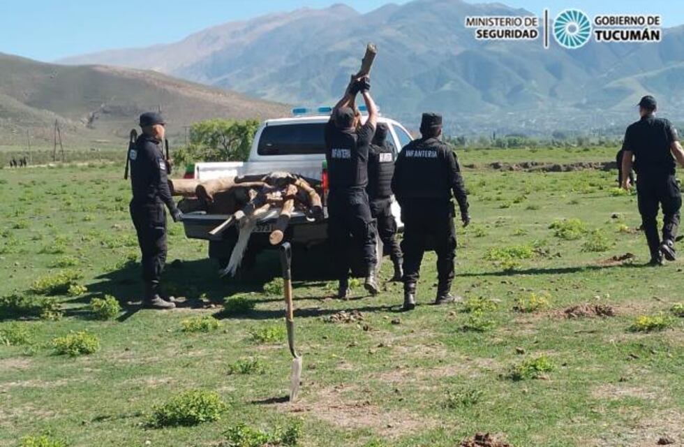 Como delimitaron los terrenos que fueron usurpados en los valles