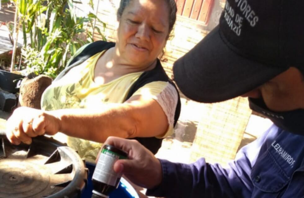 Puerto Iguazú: operativos de prevención de dengue y censos de mascotas