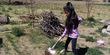 Valle Alimentario permite a los estudiantes y sus familias crear sus propias huertas y producir alimentos.