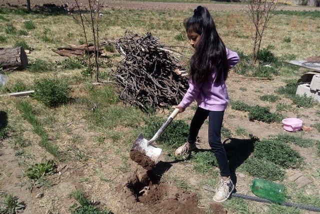 Valle Alimentario permite a los estudiantes y sus familias crear sus propias huertas y producir alimentos.