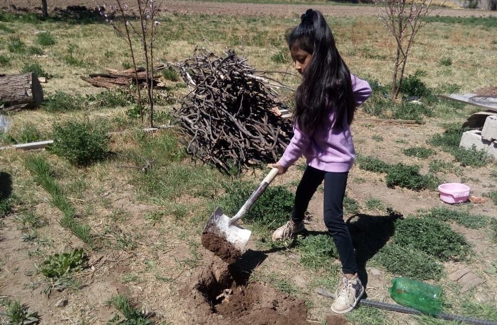 Un proyecto educativo de Cachi fue reconocido a nivel internacional