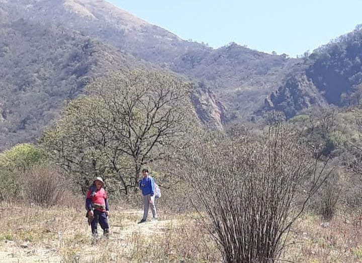Fieles atraviesan el monte en los cerros del departamento San Antonio, en Jujuy, para expresar su devoción a Nuestra Señora del Milagro.