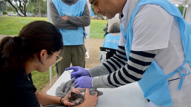 Vacunación gratuita en Córdoba. (Pedro Castillo / La Voz)
