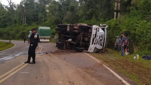 Parque Provincial Urugua-í: camión despistó y volcó su carga.