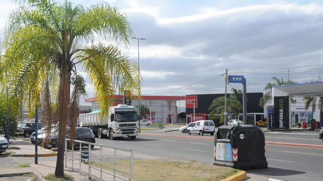 Aparecieron 26 animales sin vida en un contenedor. (Municipalidad de Córdoba).
