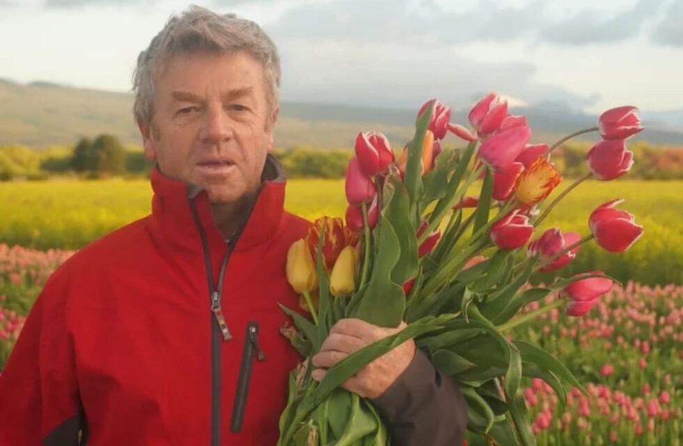 El mágico campo de tulipanes al sur de Argentina: la historia detrás del chubutense que eligió llenar sus tierras de flores y no de ganado