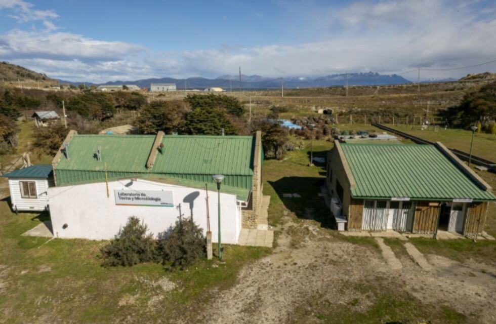 El Gobierno abre un laboratorio de toxinas marinas y microbiología para fortalecer la producción