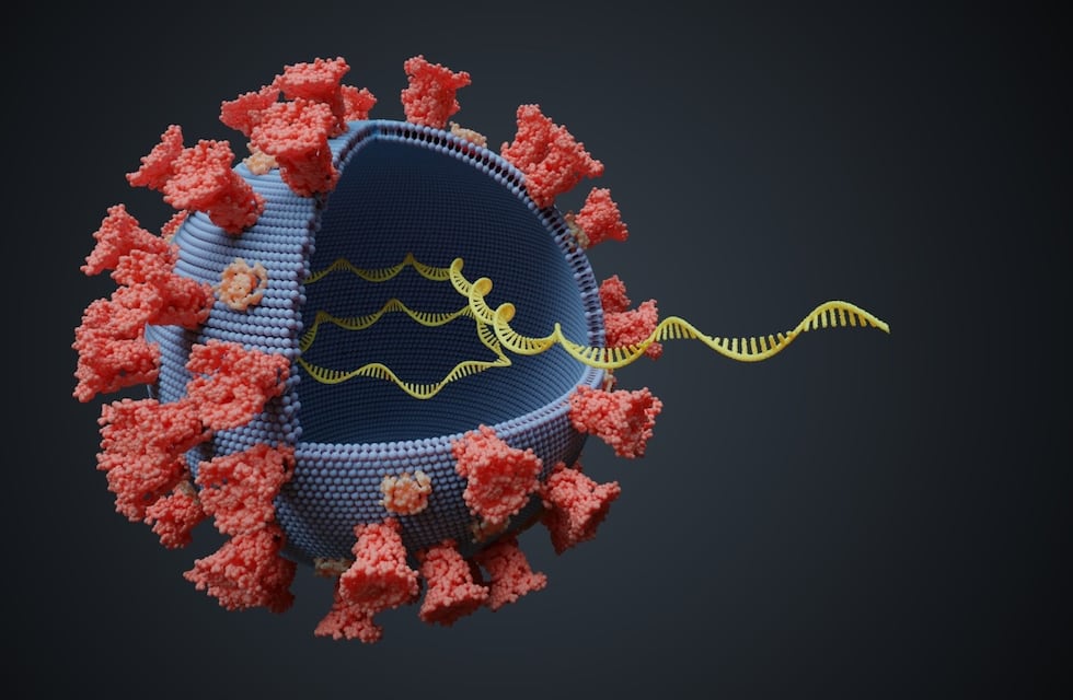 Coronavirus San Luis: registraron 4 muertes y 150 casos positivos