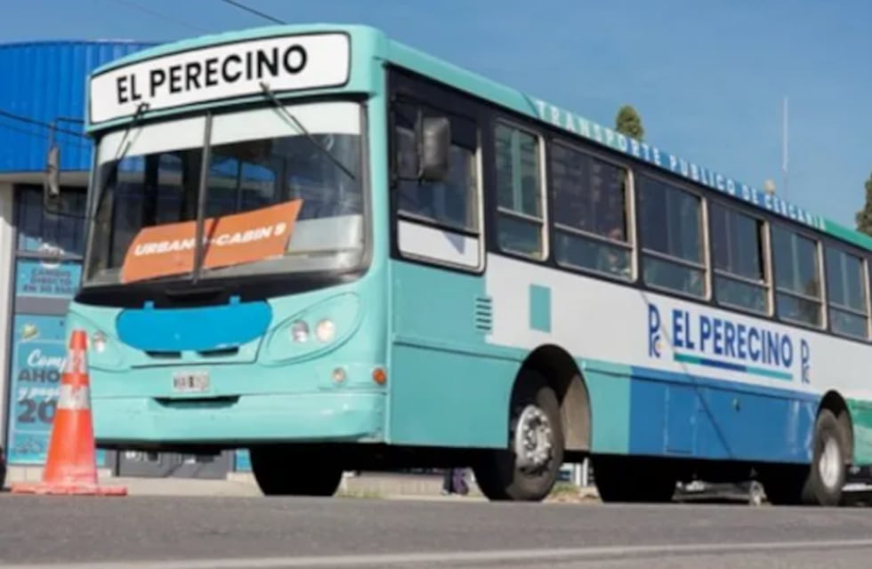 El Perecino: el servicio de transporte público gratuito cumplió un mes de funcionamiento