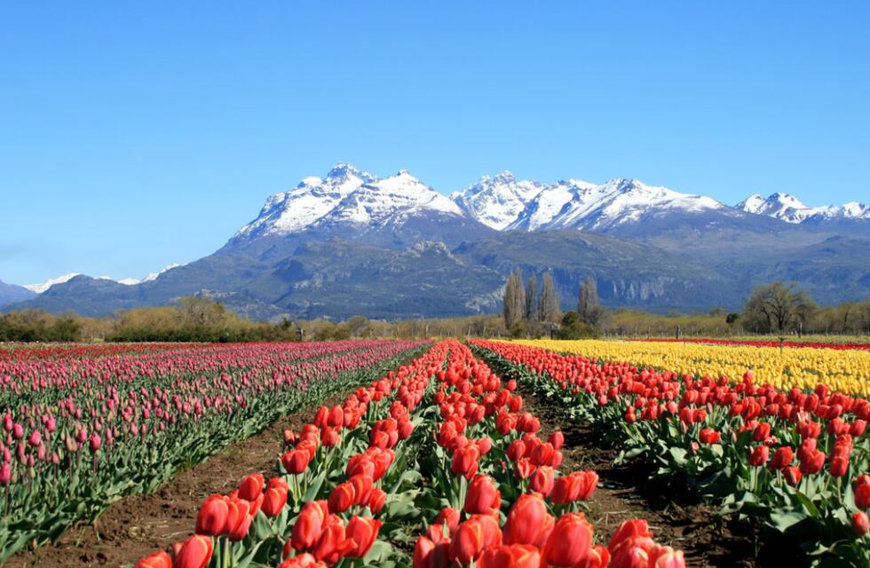 Joyas escondidas: estos son los 8 pueblos argentinos que compiten por estar entre los más bonitos del mundo