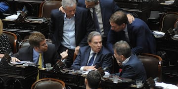 Parte del bloque Encuentro Federal, liderado por Miguel Pichetto, firmó el pedido de sesión (Foto: Federico López Claro)