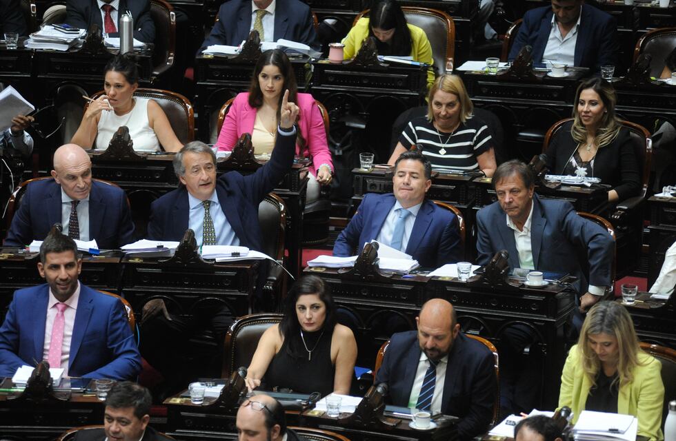 Aborto, dengue y sueldos públicos: qué proyectos presentaron hasta ahora los diputados oficialistas
