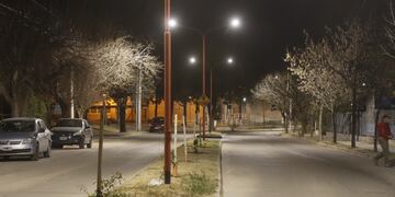 Nuevas luminarias en calle Azopardo de barrio Sol y Lago en la zona del Distrito Este.