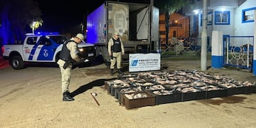 Decomisan más de una tonelada de pescados por un valor de cinco millones de pesos