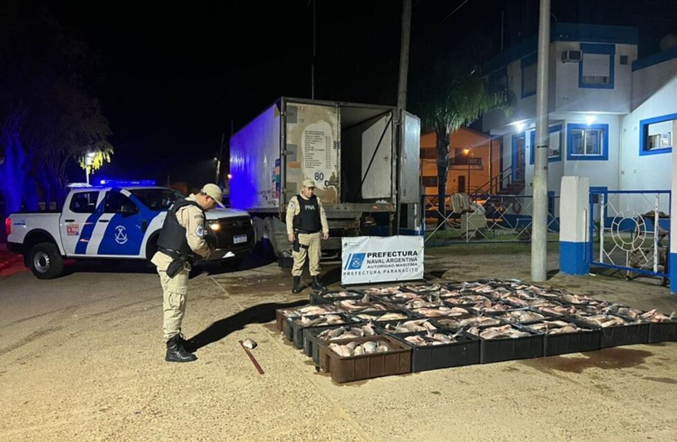 Decomisan más de una tonelada de pescados por un valor de cinco millones de pesos