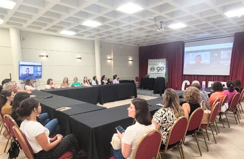 Primer encuentro del año de la Comisión de Diversidad, Equidad & Inclusión del CCIRR