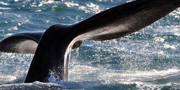 Chubut abre la temporada turística.