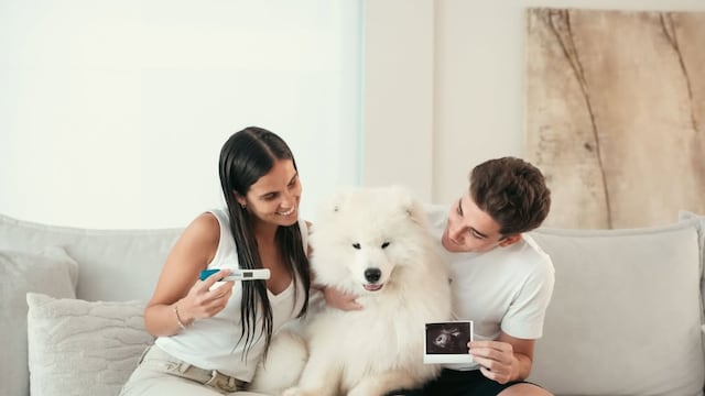 Julián Álvarez y Emilia Ferrero revelaron el sexo de su bebé con la ayuda de Matías Barzola.