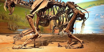 El Museo Darwin de Punta Alta inauguró su página web