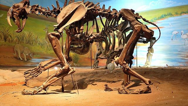 El Museo Darwin de Punta Alta inauguró su página web