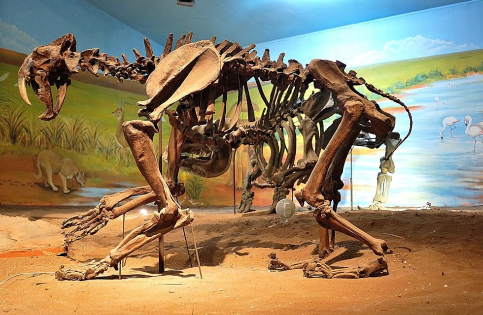 Museos de Punta Alta tienen horarios especiales para este verano 2023