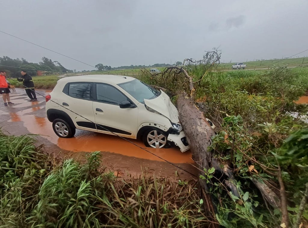 Temporal en Misiones: cortes de energía, caída de árboles y daños en viviendas, pero sin heridos.
