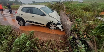 Temporal en Misiones: cortes de energía, caída de árboles y daños en viviendas, pero sin heridos.