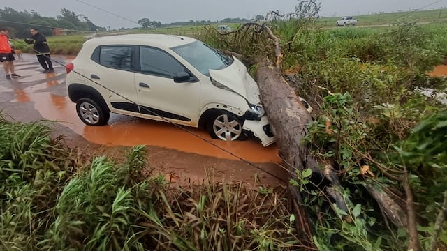 Temporal en Misiones: cortes de energía, caída de árboles y daños en viviendas, pero sin heridos.