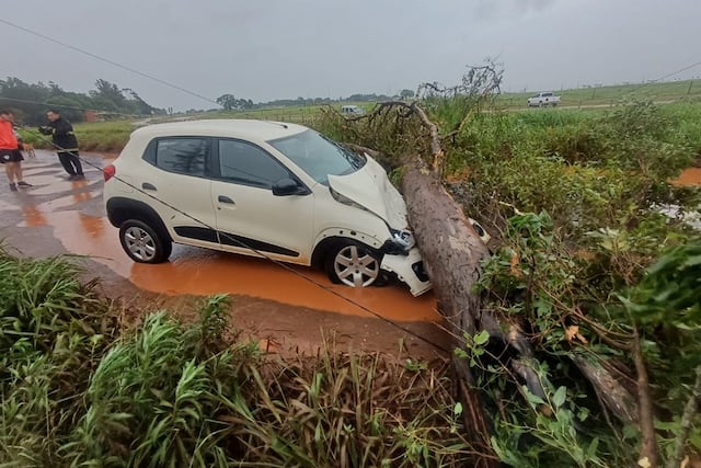 Temporal en Misiones: cortes de energía, caída de árboles y daños en viviendas, pero sin heridos.