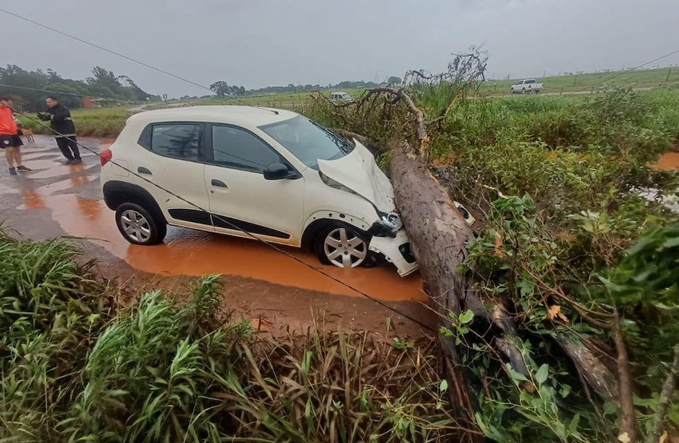 Temporal en Misiones: cortes de energía, caída de árboles y daños en viviendas, pero sin heridos